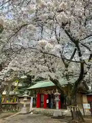 前原御嶽神社(千葉県)