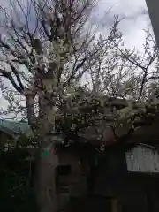 新宿下落合氷川神社(東京都)