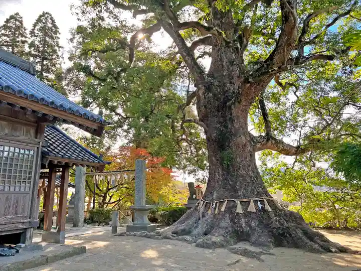 六所神社(福岡県)