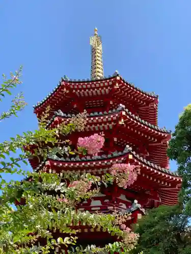 川崎大師（平間寺）(神奈川県)