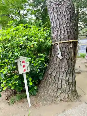 松先稲荷神社(千葉県)