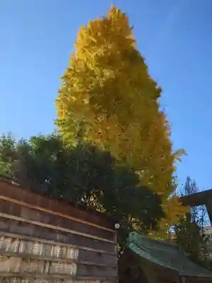 池袋御嶽神社(東京都)