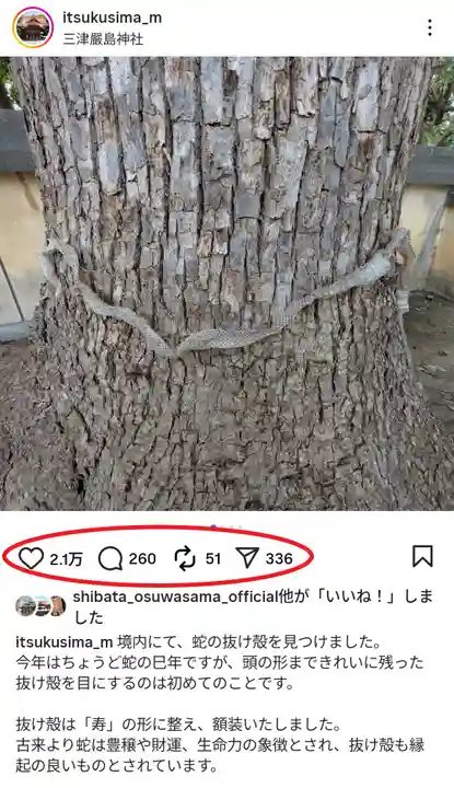 三津厳島神社(愛媛県)