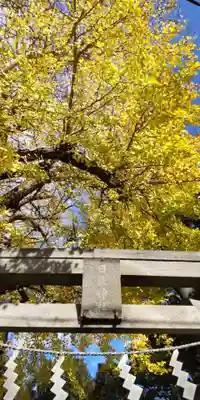 日枝神社(神奈川県)