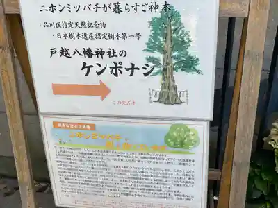 戸越八幡神社(東京都)