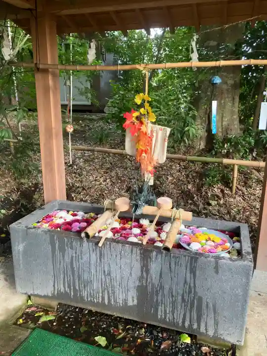 下野 星宮神社(栃木県)