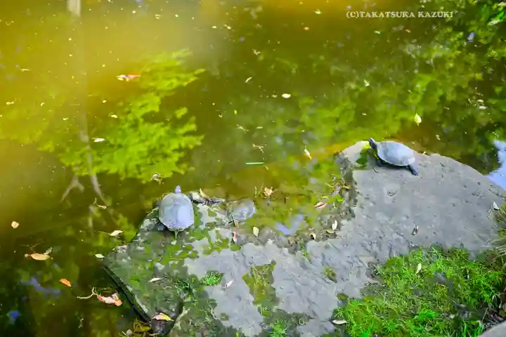 和樂備神社(埼玉県)
