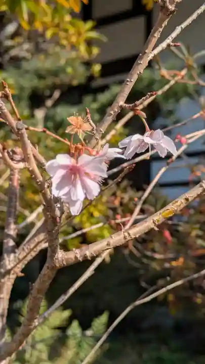 浄國寺(浄国寺)(大阪府)