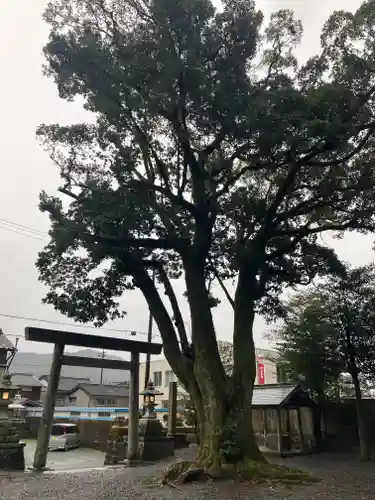 引本神社(三重県)