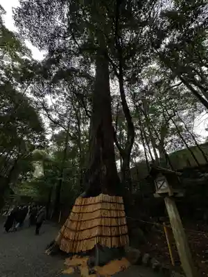 伊勢神宮内宮（皇大神宮）(三重県)