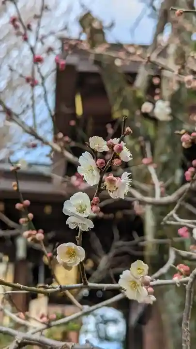 菅原院天満宮神社(京都府)