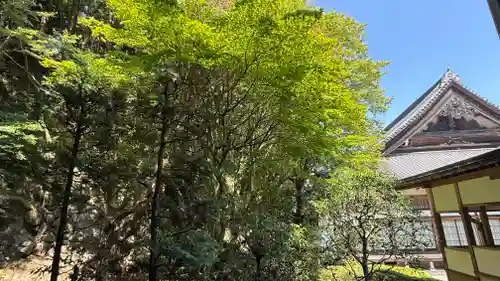 最乗寺（道了尊）(神奈川県)