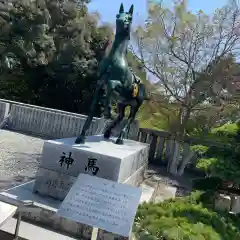 琴崎八幡宮の狛犬