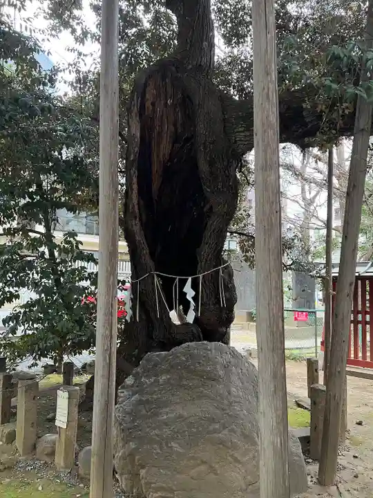 金王八幡宮(東京都)