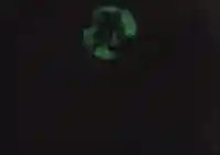 光丸山 法輪寺(栃木県)