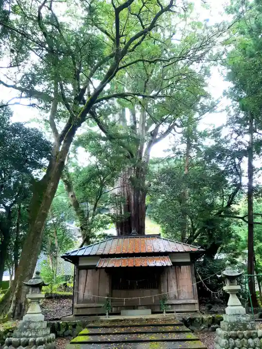 武速神社の本殿・本堂