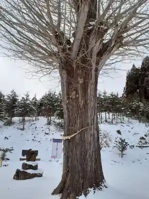 吉祥寺(岩手県)