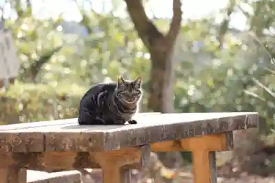 玉野御嶽神社(愛知県)