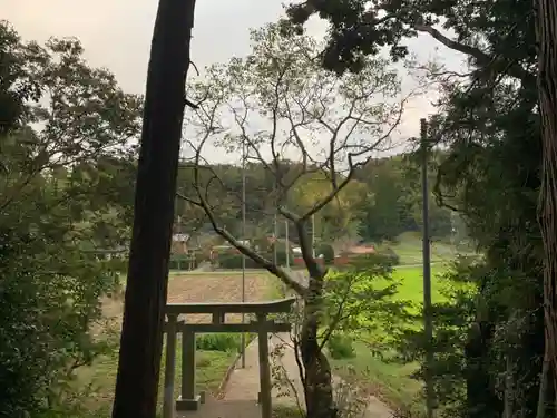 春日神社の鳥居