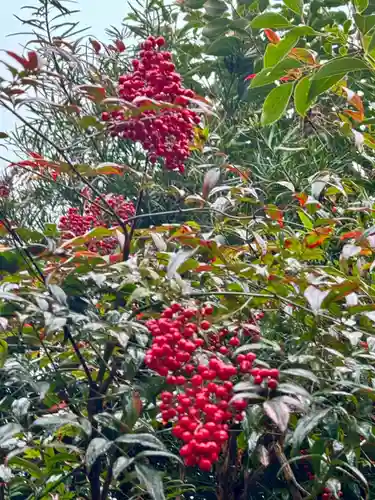 大乗寺(京都府)