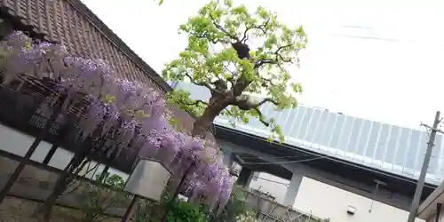 六孫王神社(京都府)