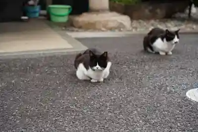 白金氷川神社(東京都)