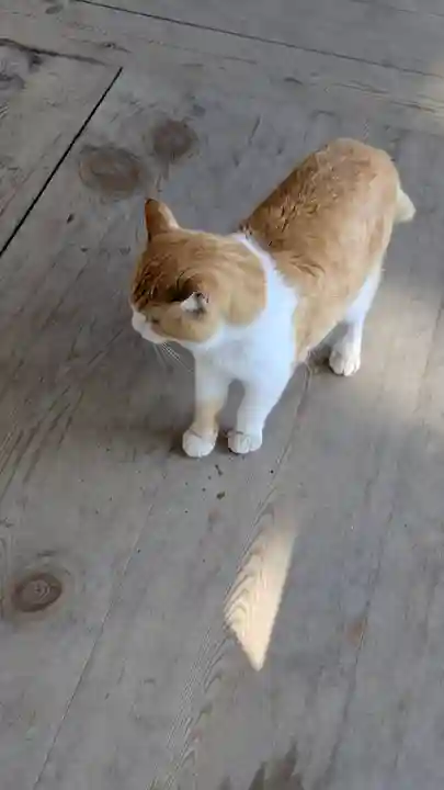 智恩寺(京都府)