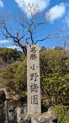 隨心院（随心院）(京都府)