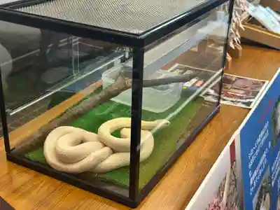 赤城神社(群馬県)