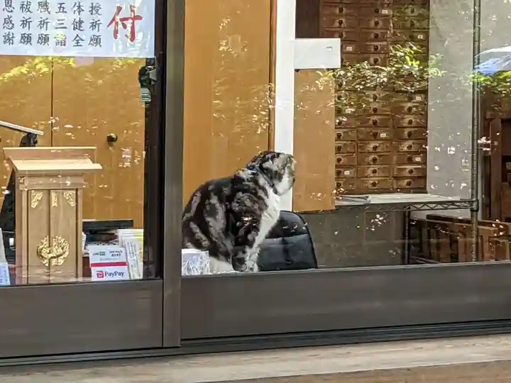 王子神社の動物