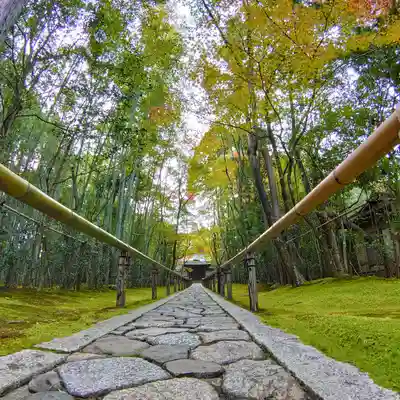 高桐院のその他建物