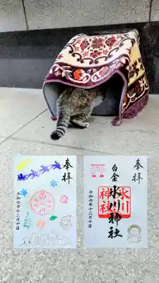 白金氷川神社の御朱印