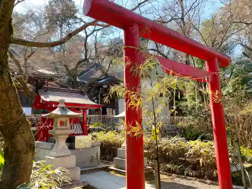 高幡不動尊　金剛寺の鳥居