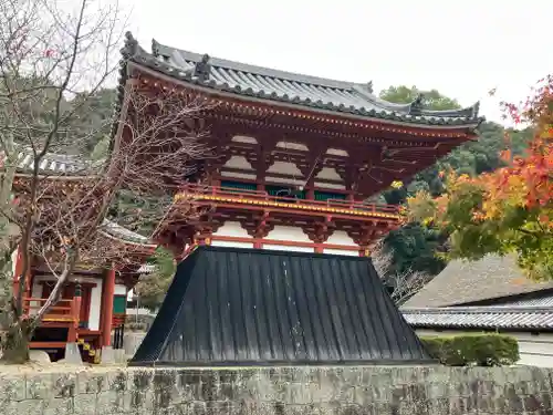 金剛寺(大阪府)