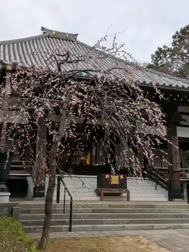 妙法寺(東京都)