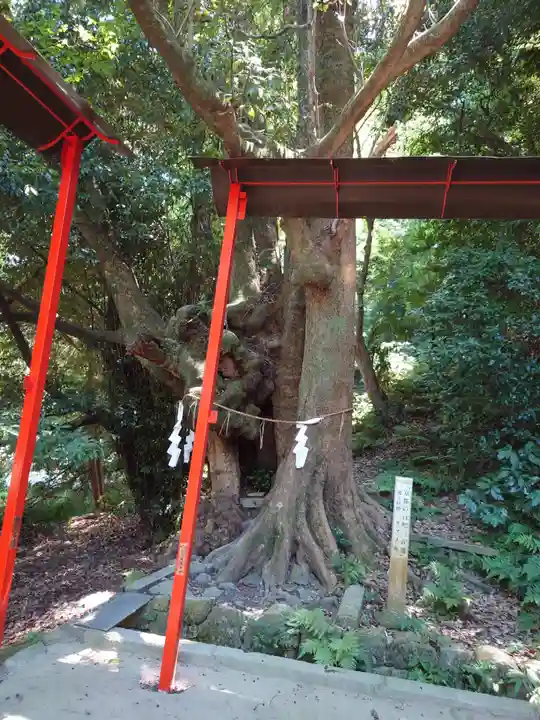 石清水八幡宮の自然