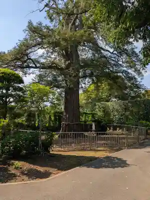 高勝寺(東京都)