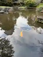 靖國神社(東京都)