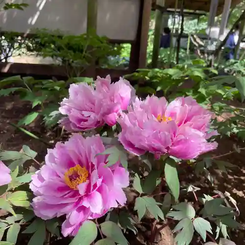 上野東照宮(東京都)