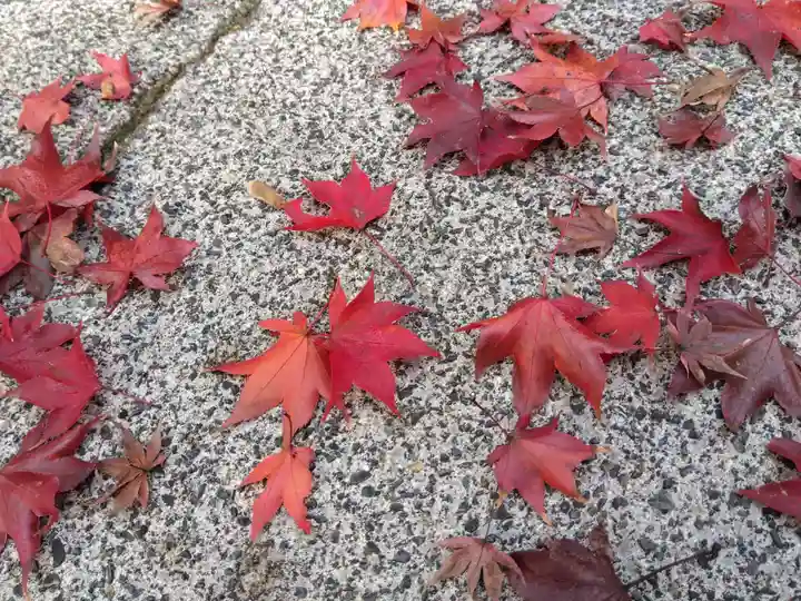 観音寺(滋賀県)