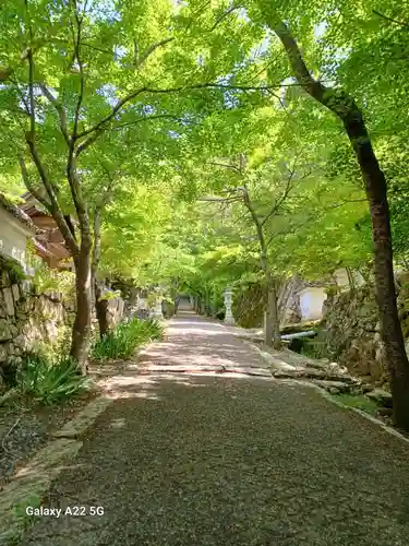 龍華寺(広島県)