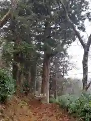 登米神社の自然