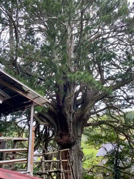 長谷寺(新潟県)