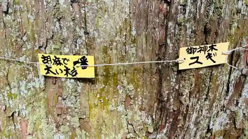日吉神社(京都府)