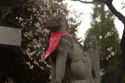 開成山大神宮の狛犬