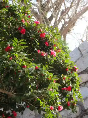 甲宗八幡宮(福岡県)