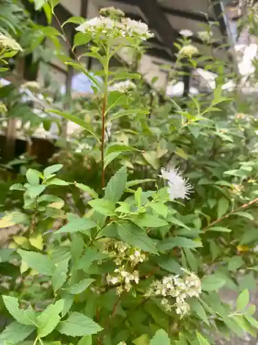 粟嶋堂宗徳寺の自然