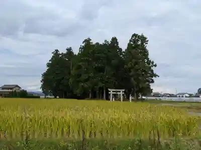 亀和田天満宮の景色