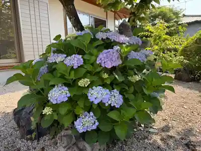 美奈宜神社(福岡県)