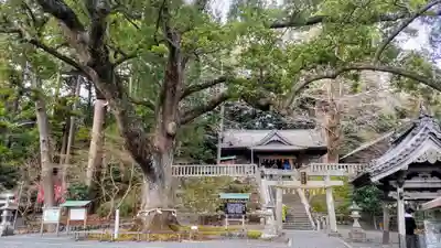 事任八幡宮(静岡県)
